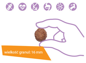 Vetcan Adult Lamb and Rice