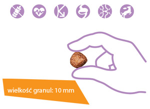 Vetcan Adult Lamb and Rice