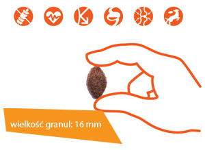 Vetcan Adult Performance