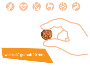 Vetcan Salmon and Rice