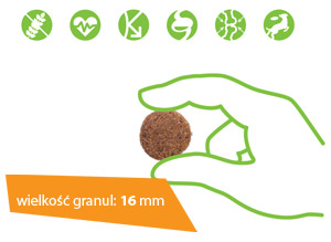 VetCan Adult Maintenance